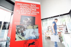 Save the Dogs and other Animals al Gate - 05 luglio 2016