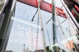 Save the Dogs and other Animals al Gate - 05 luglio 2016