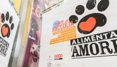 Alimenta l'Amore Vigevano