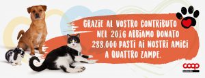 Alimenta l'amore risultati 2016