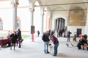 San Valentino al Castello Sforzesco con Alimenta l'Amore