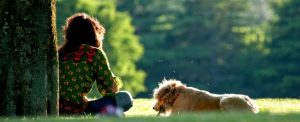 RS_Il Giorno Monza Brianza_ Città degli animali