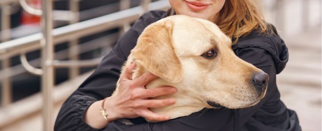 pet therapy aeroporto
