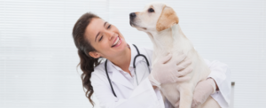 Farmaci equivalenti a uso umano per gli animali domestici