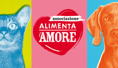 banner_alimentabag_25_650X265