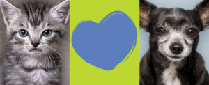 Bag Alimenta Amore 2026