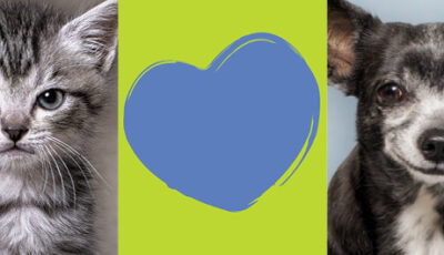 Bag Alimenta Amore 2026