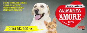 Nel 2024, 10° anniversario di attività, Alimenta l’Amore diventa Associazione, per sostenere iniziative legate al mondo degli animali.