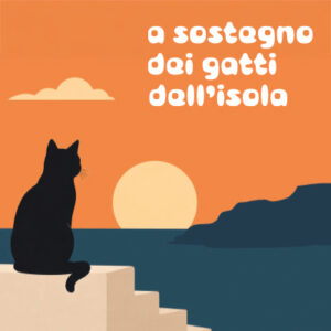 Isola di Favignana - a sostegno dei gatti dell'isola