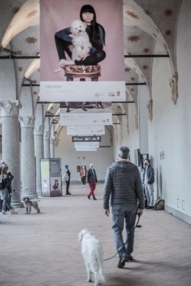 Human Dog 2020 in mostra a Milano fino al 22 novembre (21)