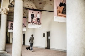 Human Dog 2020 in mostra a Milano fino al 22 novembre (48)