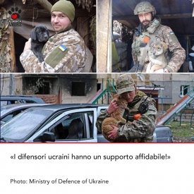 Guerra in Ucraina: alcuni scatti commuoventi dal fronte