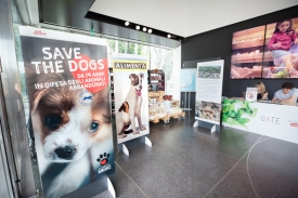 Save the Dogs and other Animals al Gate - 05 luglio 2016