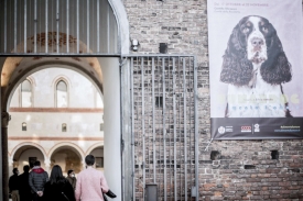 Human Dog 2020 in mostra a Milano fino al 22 novembre (11)