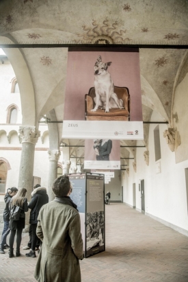 Human Dog 2020 in mostra a Milano fino al 22 novembre (25)