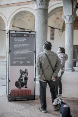 Human Dog 2020 in mostra a Milano fino al 22 novembre (12)